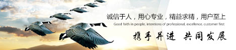 公司簡(jiǎn)介